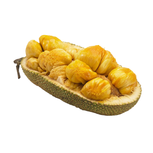 Cempedak fruit — Tropical Honey Fruit